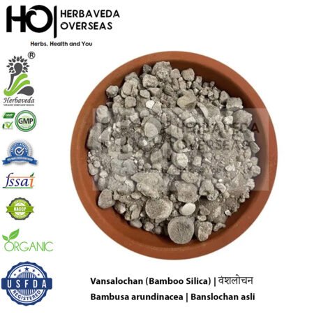 Vansalochan (Bamboo Silica) | वंशलोचन | Bambusa arundinacea |Banslochan Asli