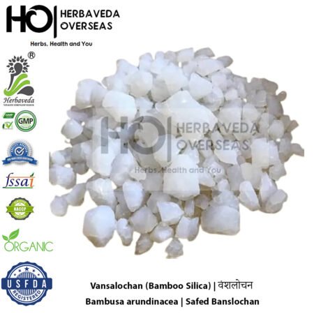 Vansalochan (Bamboo Silica) | वंशलोचन | Bambusa arundinacea |Safed Banslochan