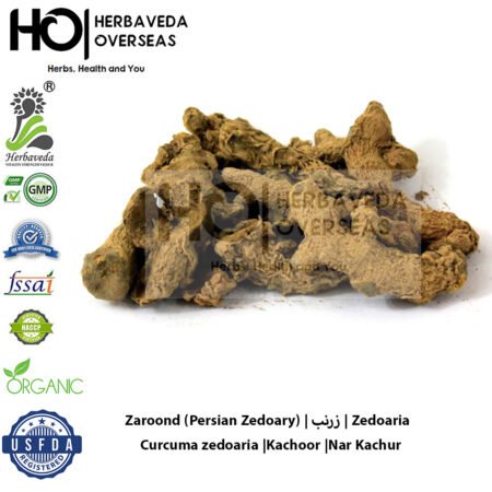 Zaroond (Persian Zedoary) | زرنب | Zedoaria — Curcuma zedoaria |Kachoor |Nar Kachur