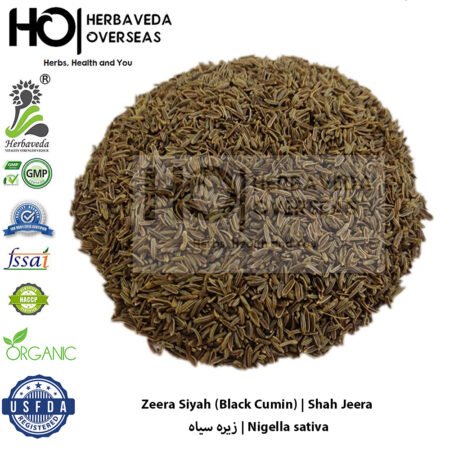 Zeera Siyah (Black Cumin) | زیرہ سیاہ | Nigella sativa