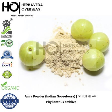 Amla Powder (Indian Gooseberry) | आंवला पाउडर | Phyllanthus emblica