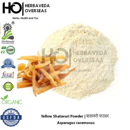 Shatavari Powder | शतावरी पाउडर | Asparagus racemosus