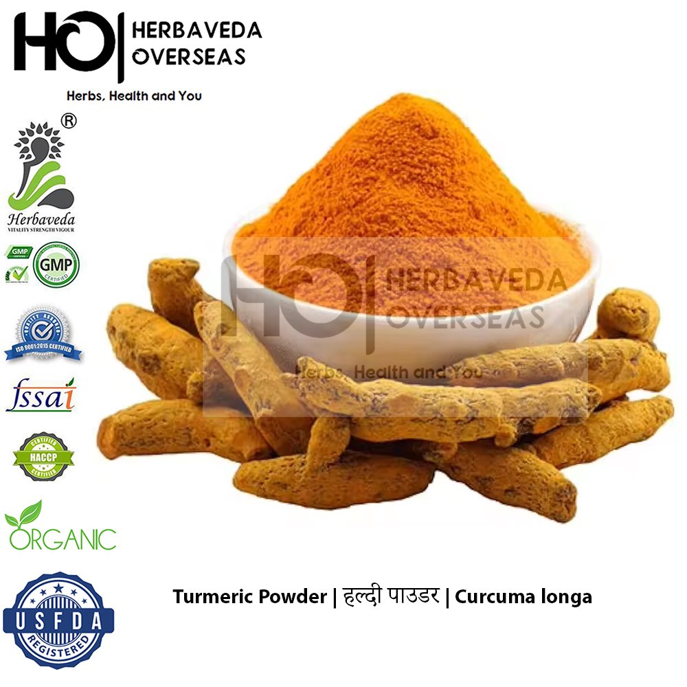 Turmeric Powder | हल्दी पाउडर | Curcuma longa