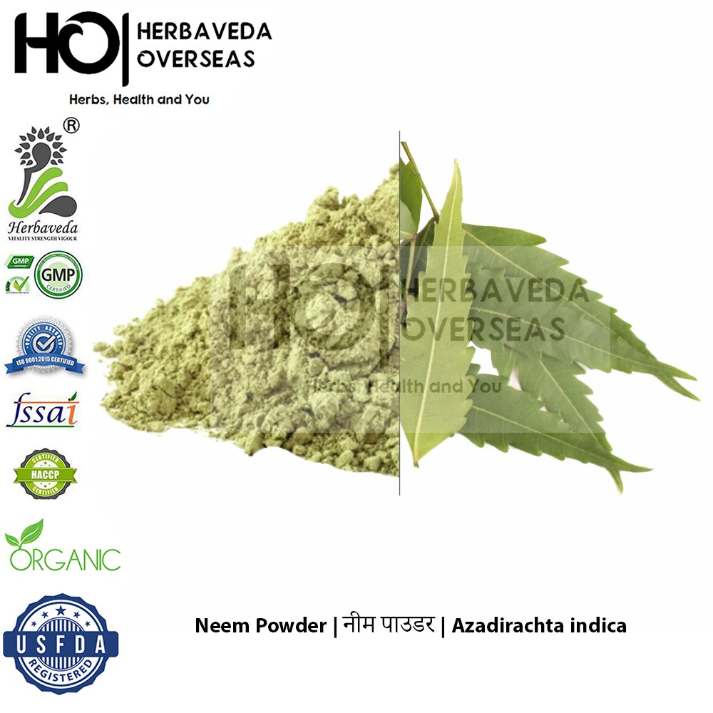 Neem Powder | नीम पाउडर | Azadirachta indica