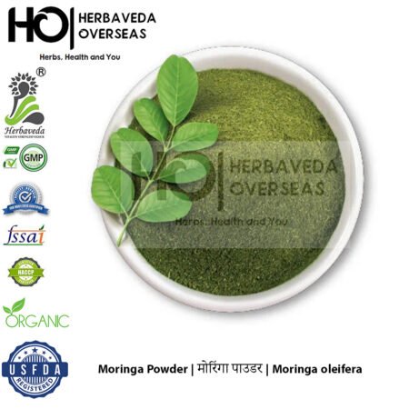 Moringa Powder | मोरिंगा पाउडर | Moringa oleifera