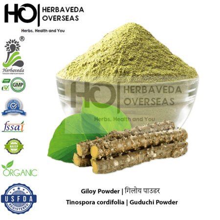 Giloy Powder | गिलोय पाउडर | Tinospora cordifolia |Guduchi Powder