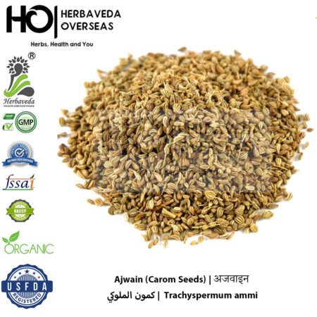 Ajwain (Carom Seeds) | अजवाइन | Trachyspermum ammi