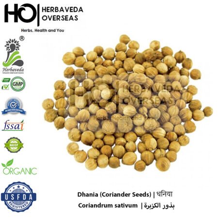 Dhania (Coriander Seeds) | धनिया | Coriandrum sativum