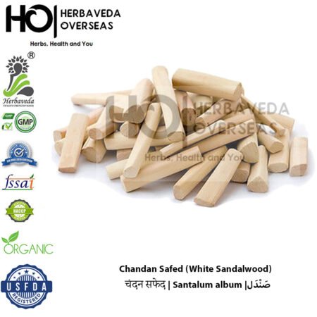 Chandan Safed (White Sandalwood) | चंदन सफेद | Santalum album