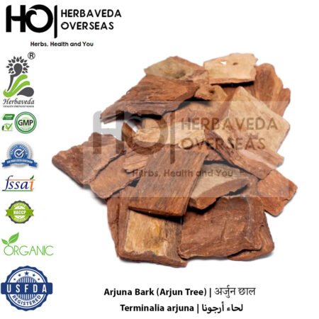 Arjuna Bark (Arjun Tree) | अर्जुन छाल | Terminalia arjuna
