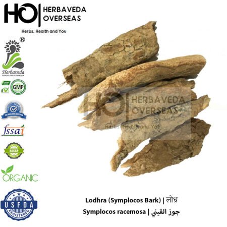 Lodhra (Symplocos Bark) | लोध्र | Symplocos racemosa