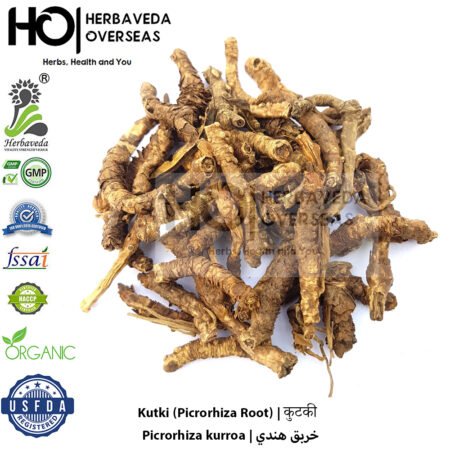 Kutki (Picrorhiza Root) | कुटकी | Picrorhiza kurroa