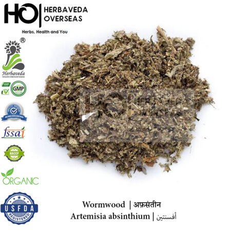 Wormwood (Common Wormwood) | अफ़संतीन | Artemisia absinthium