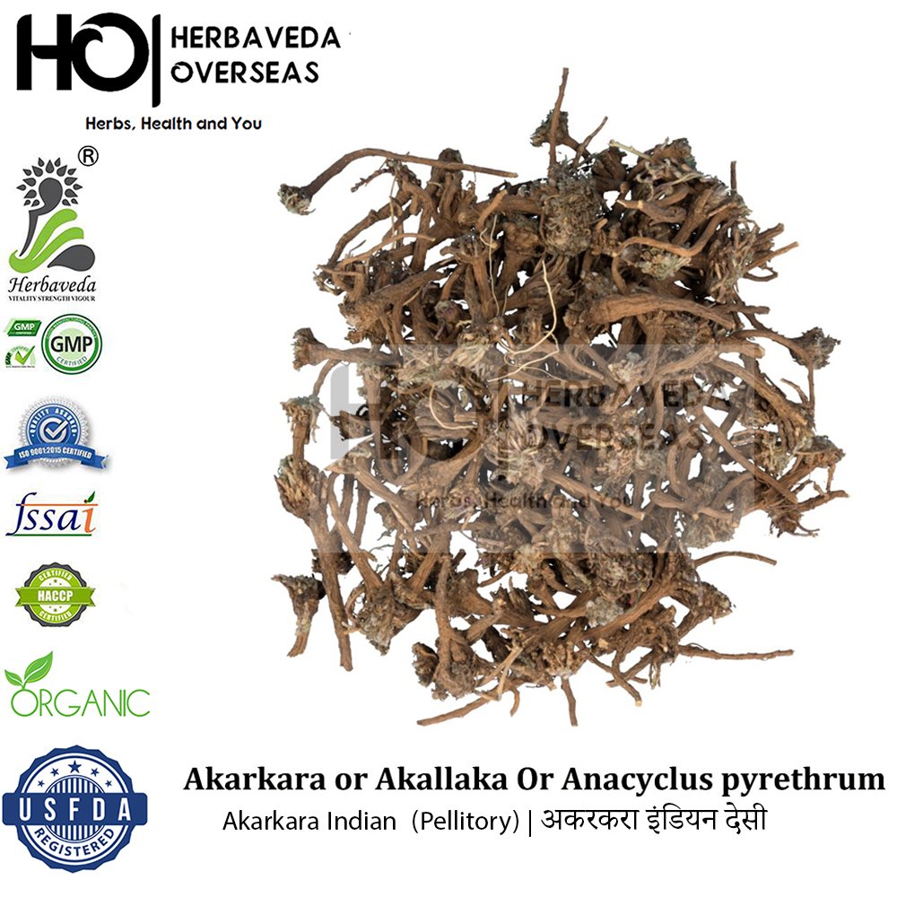 Akarkara Indian (Pellitory) | अकरकरा इंडियन देसी| Anacyclus pyrethrum