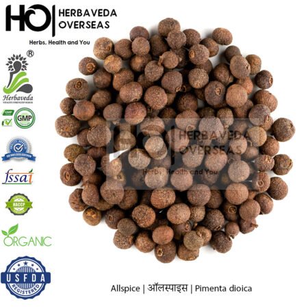 Allspice | ऑलस्पाइस | Pimenta dioica