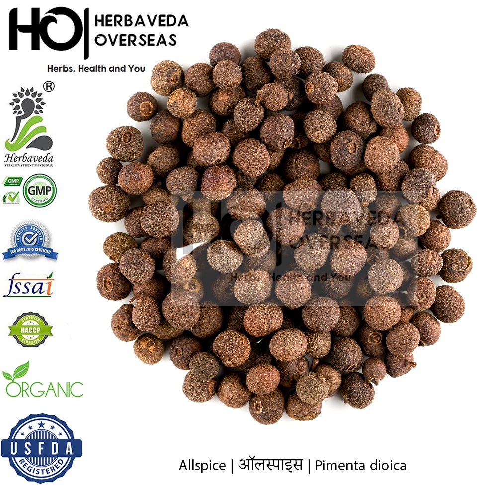 Allspice | ऑलस्पाइस | Pimenta dioica