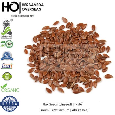 Flax Seeds (Linseed) | अलसी | Linum usitatissimum