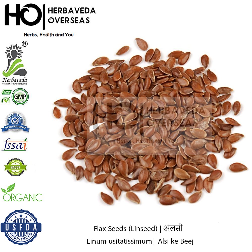 Flax Seeds (Linseed) | अलसी | Linum usitatissimum