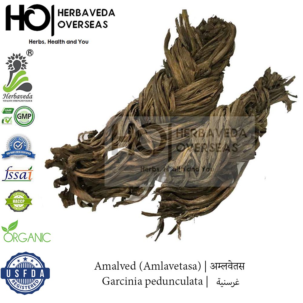 Amalved (Amlavetasa) | अम्लवेतस | Garcinia pedunculata