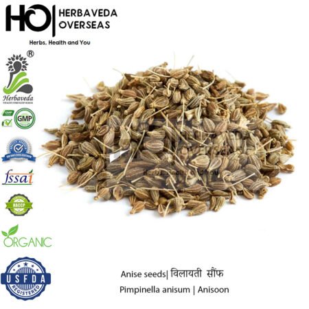 Anise seeds| विलायती  सौंफ | Pimpinella anisum | Anisoon