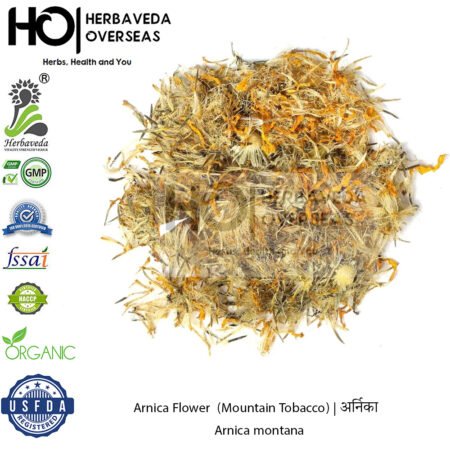 Arnica (Mountain Tobacco) | अर्निका | Arnica montana