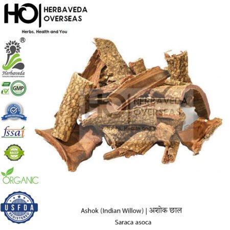 Ashok (Indian Willow) | अशोक छाल | Saraca asoca