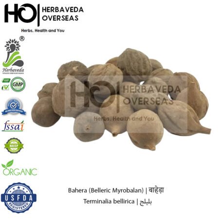 Bahera (Belleric Myrobalan) | बाहेड़ा | Terminalia bellirica