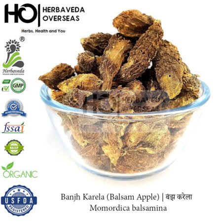 Banjh Karela (Balsam Apple) | बंझ करेला | Momordica balsamina