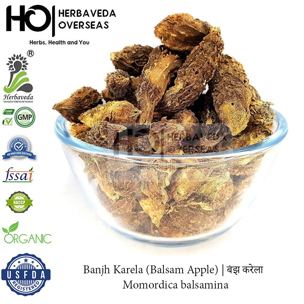 Banjh Karela (Balsam Apple) | बंझ करेला | Momordica balsamina