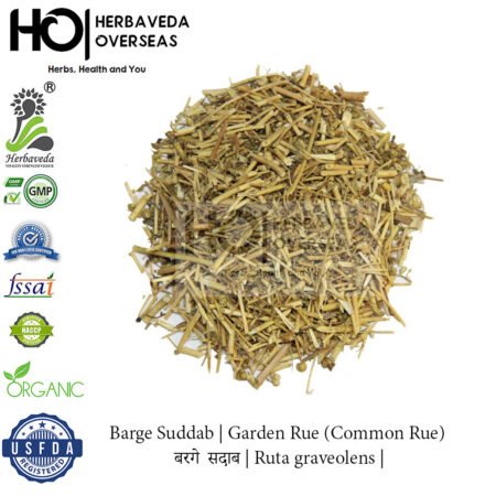 Barge Suddab | Garden Rue (Common Rue) | बरगे  सदाब | Ruta graveolens |