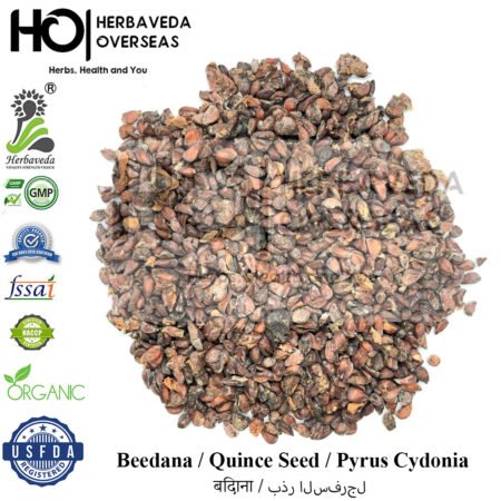 Quince Seeds (Beedana) | बीदाणा | Cydonia oblonga