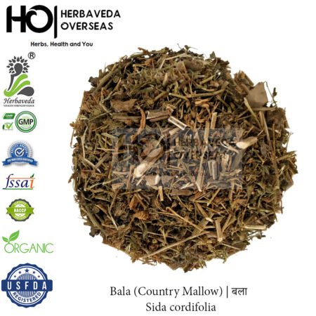 Bala (Country Mallow) | बला | Sida cordifolia