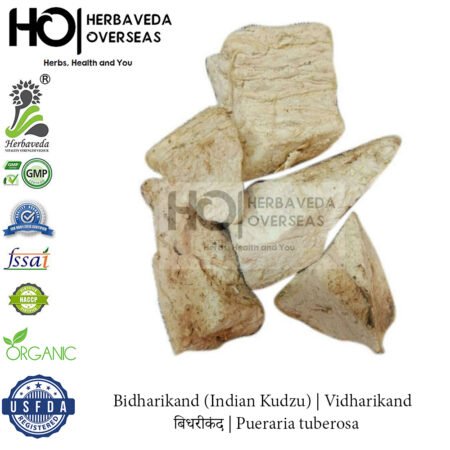 Bidharikand (Indian Kudzu) | बिधरीकंद | Pueraria tuberosa