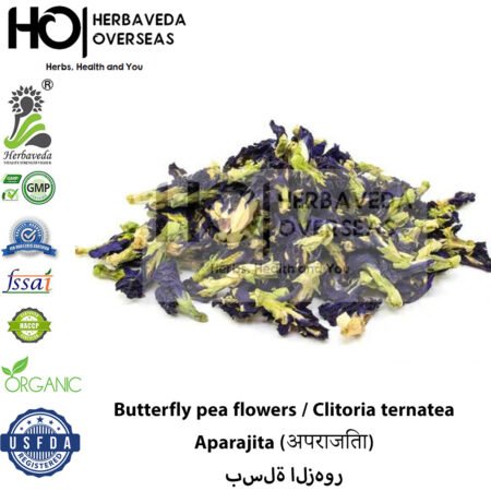 Butterfly Pea Flower (Blue Pea) | अपराजिता | Clitoria ternatea