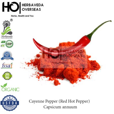 Cayenne Pepper (Red Hot Pepper) | Capsicum annuum
