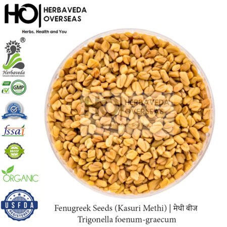 Fenugreek (Kasuri Methi) | मेथी | Trigonella foenum-graecum