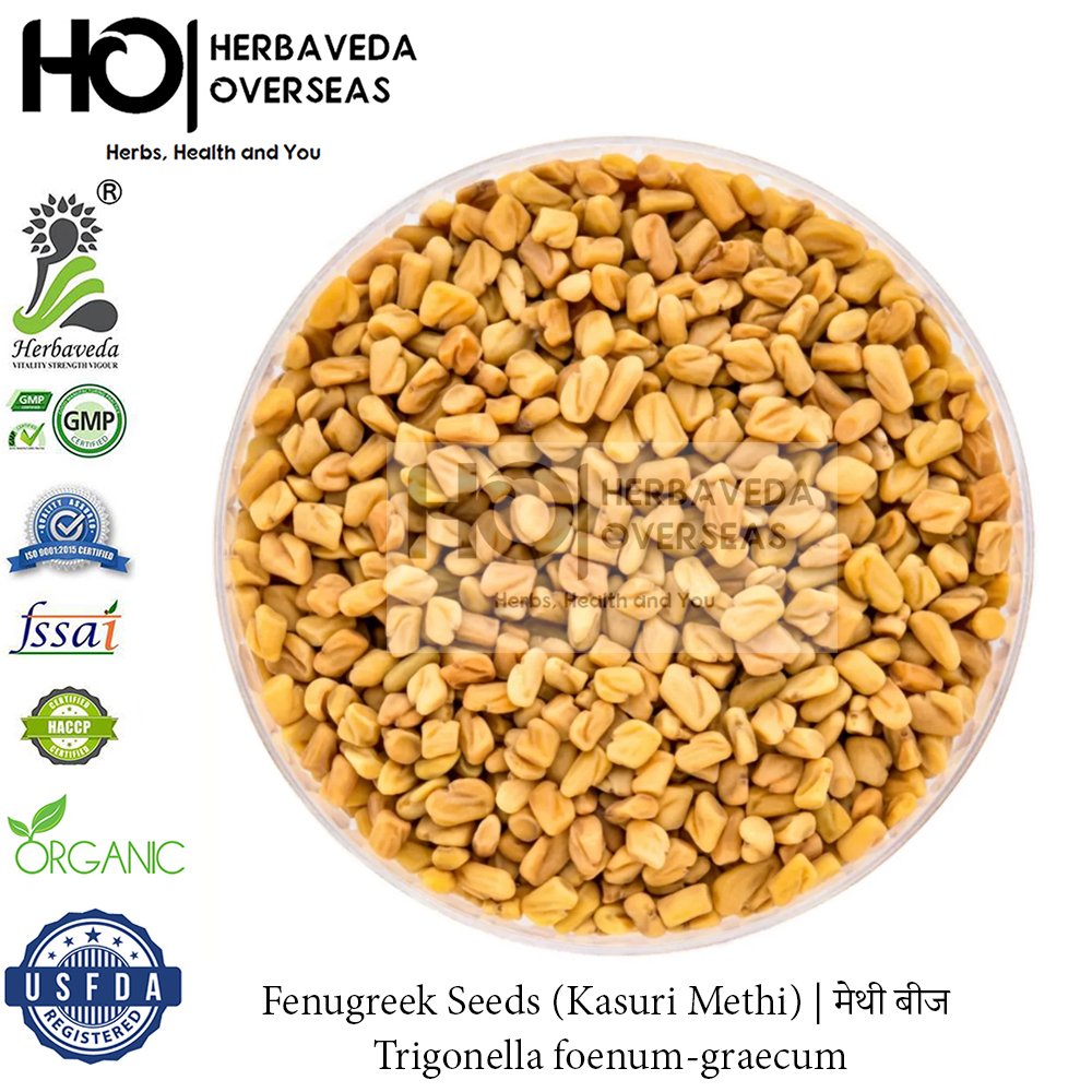 Fenugreek (Kasuri Methi) | मेथी | Trigonella foenum-graecum