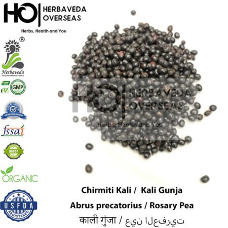 Black Rosary Pea (Black Gunja) | काली गुंजा / काली चिरमिटी | Abrus precatorius