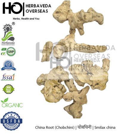 China Root (Chobchini) | चोबचिनी | Smilax china