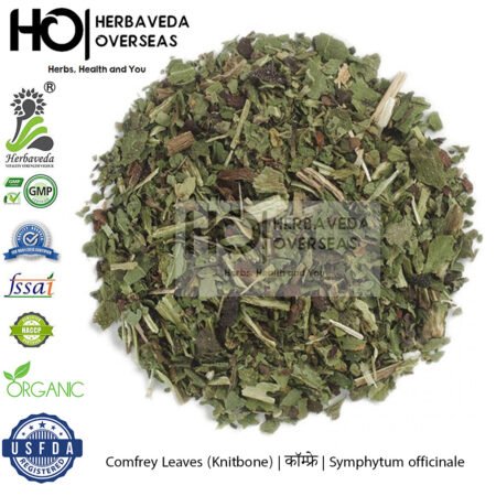 Comfrey Leaves (Knitbone) | कॉम्फ्रे | Symphytum officinale