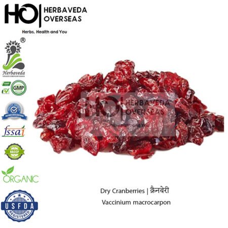 Cranberry | क्रैनबेरी | Vaccinium macrocarpon
