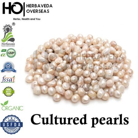 Cultured Pearl | मोती | Pinctada maxima