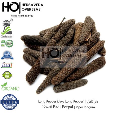 Long Pepper (Java Long Pepper) | गजपीपल | Piper longum