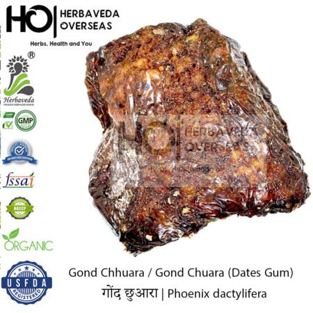 Gond Chhuara / Gond Chuara (Dates Gum) | गोंद छुआरा | Phoenix dactylifera