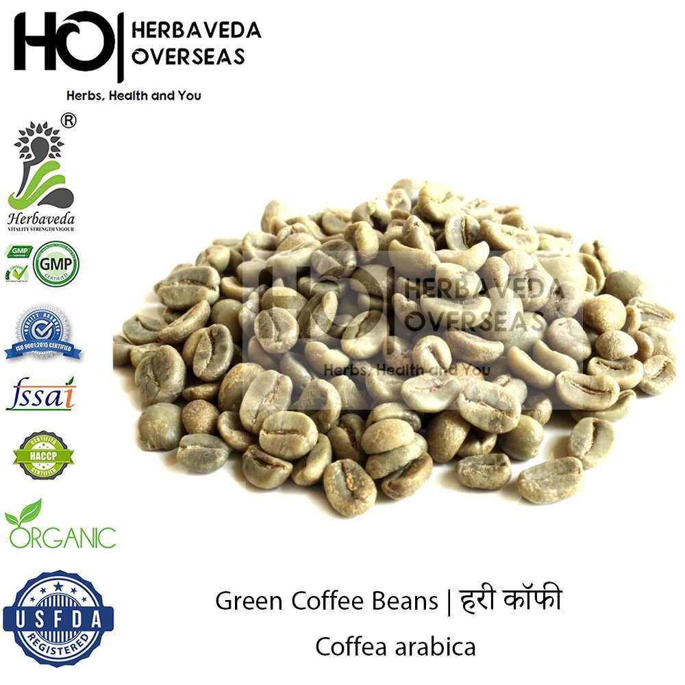 Green Coffee Beans | हरी कॉफी | Coffea arabica