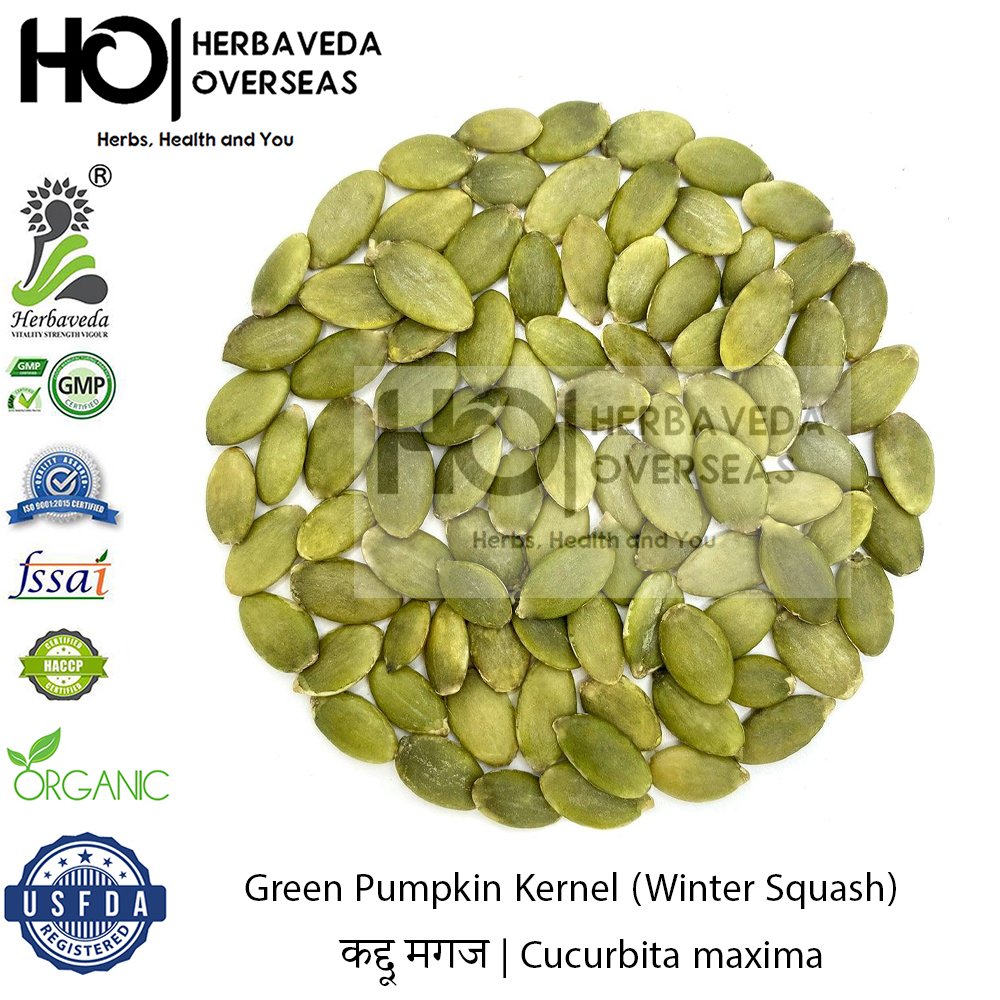 Green Pumpkin Kernel (Winter Squash) | कद्दू | Cucurbita maxima