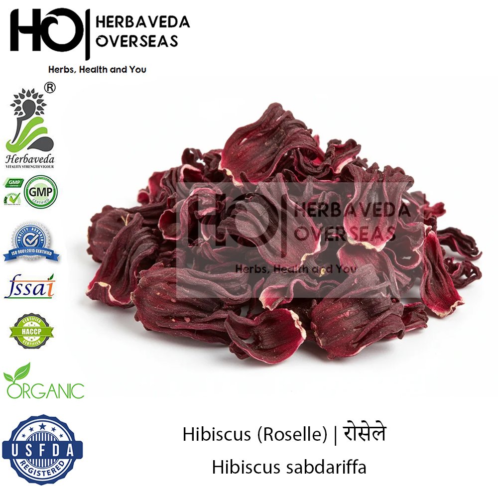 Hibiscus (Roselle) | रोसेले | Hibiscus sabdariffa