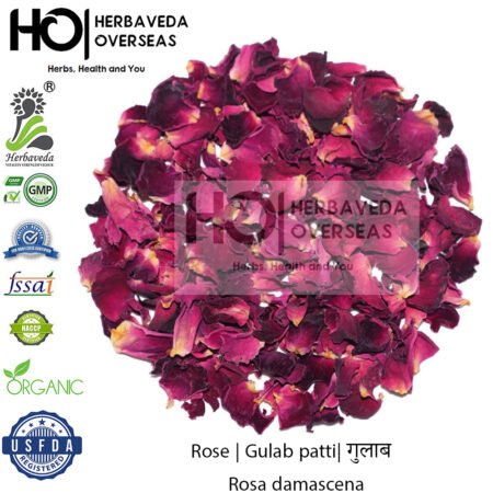 Rose | Gulab patti| गुलाब | Rosa damascena