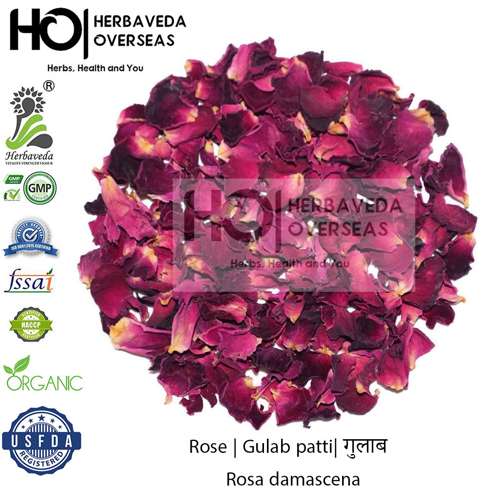 Rose | Gulab patti| गुलाब | Rosa damascena