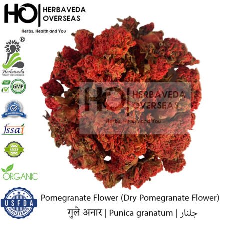 Pomegranate Flower (Dry Pomegranate Flower) | गुले अनार | Punica granatum